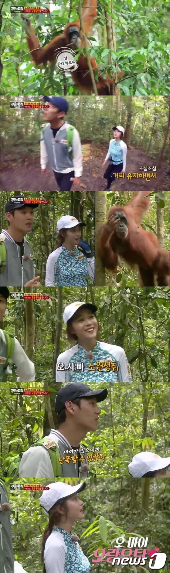 '정글의 법칙' 방송 캡처 ⓒ News1