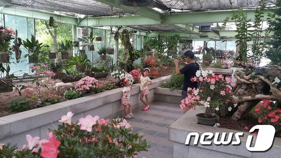강원도산림과학연구원ⓒ News1 신효재 기자