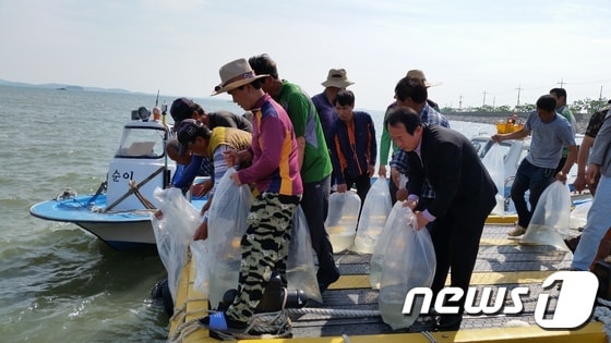 대하 방류 모습.(사진은 기사 내용과 무관함) / 뉴스1 ⓒ News1