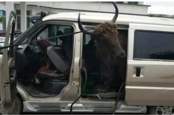 화시도시보 갈무리