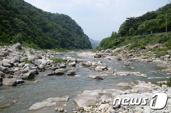 극심한 가뭄이 이어지고 있는 20일 오후 래프팅 명소인 강원 인제 내린천이 메마르면서 돌들이 드러나고 있다. 2017.6.20/뉴스1 ⓒ News1 고재교 기자