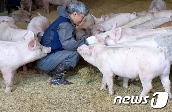 (사진은 기사 내용과 무관함) / 뉴스1 ⓒ News1