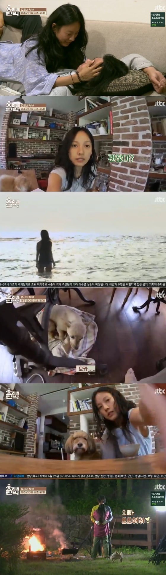 ⓒ News1 JTBC '효리네민박' 캡처