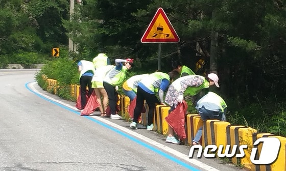29일 미시령동서관통도로주식회사 관계자들이 미시령옛길 청소봉사을 하고 있다. (미시령동서관통도로 제공) 2016.6.29/뉴스1 ⓒ News1 고재교 기자