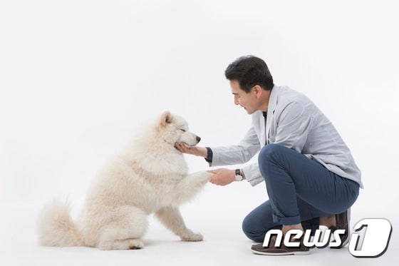 개는 언어적 동물이 아니다. (사진 이미지투데이) ⓒ News1