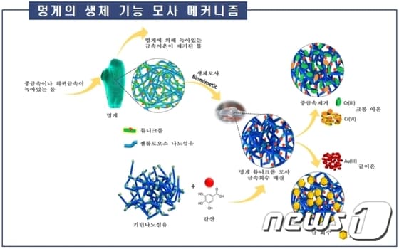 자료=해양수산부ⓒ News1