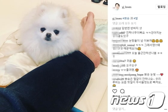 사진 정용진 신세계그룹 부회장 인스타그램ⓒ News1