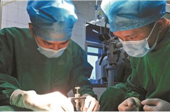 베이징청년보 갈무리