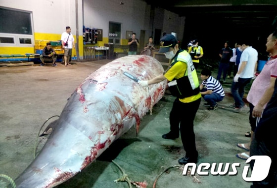 뉴스1 DB ⓒ News1