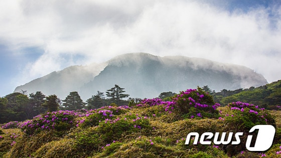 포시즌스 호텔 제공ⓒ News1