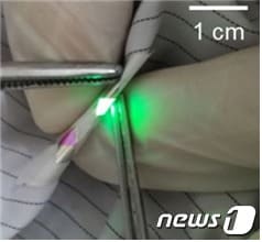 옷감 위에서 구동 되고 있는 유기발광다이오드 사진.ⓒ News1