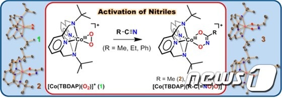 나이트릴 활성화 반응 도식ⓒ News1
