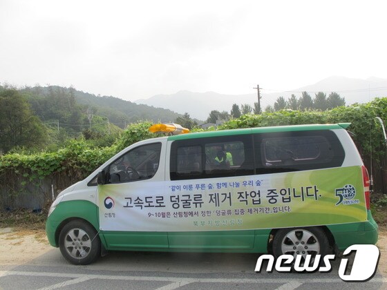 북부산림청 제공/뉴스1 ⓒ News1