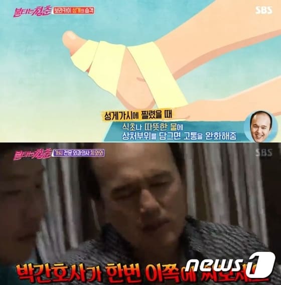 '불타는 청춘' ⓒ News1