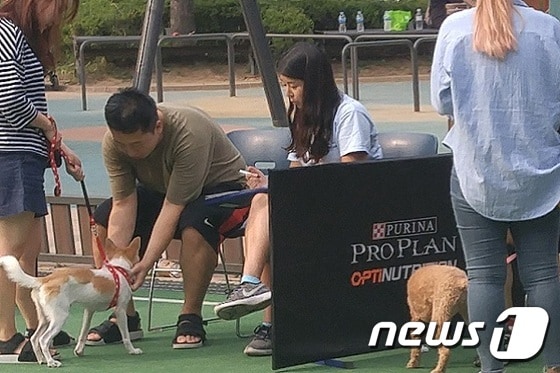 강동구청이 최근 진행한 반려견 문화교실 '서당개'에서 보호자들이 강아지에게 마사지하는 방법을 배우고 있다.ⓒ News1