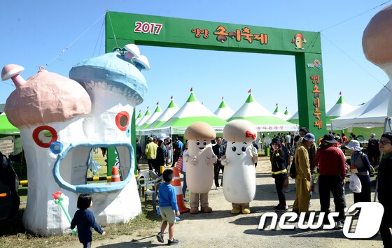 '양양송이축제'.(뉴스1DB)