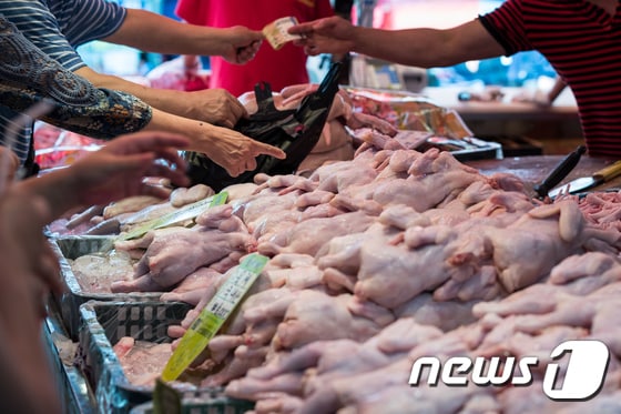 서울 경동시장 내 닭고기 도매상점에 생닭이 진열돼 있다. 2017.9.3/뉴스1 ⓒ News1 유승관 기자