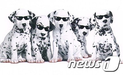 영화 '101달마시안' 스틸 이미지. ⓒ News1