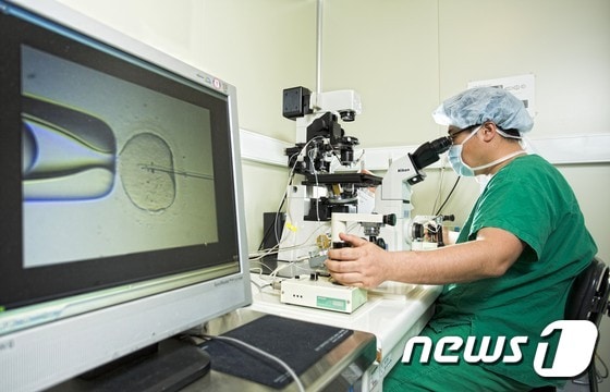 40대 불임여성의 시험관아이 성공률이 40세 22.3%에서 45에에는 2.7%로 급감하는 것으로 나타났다.ⓒ News1