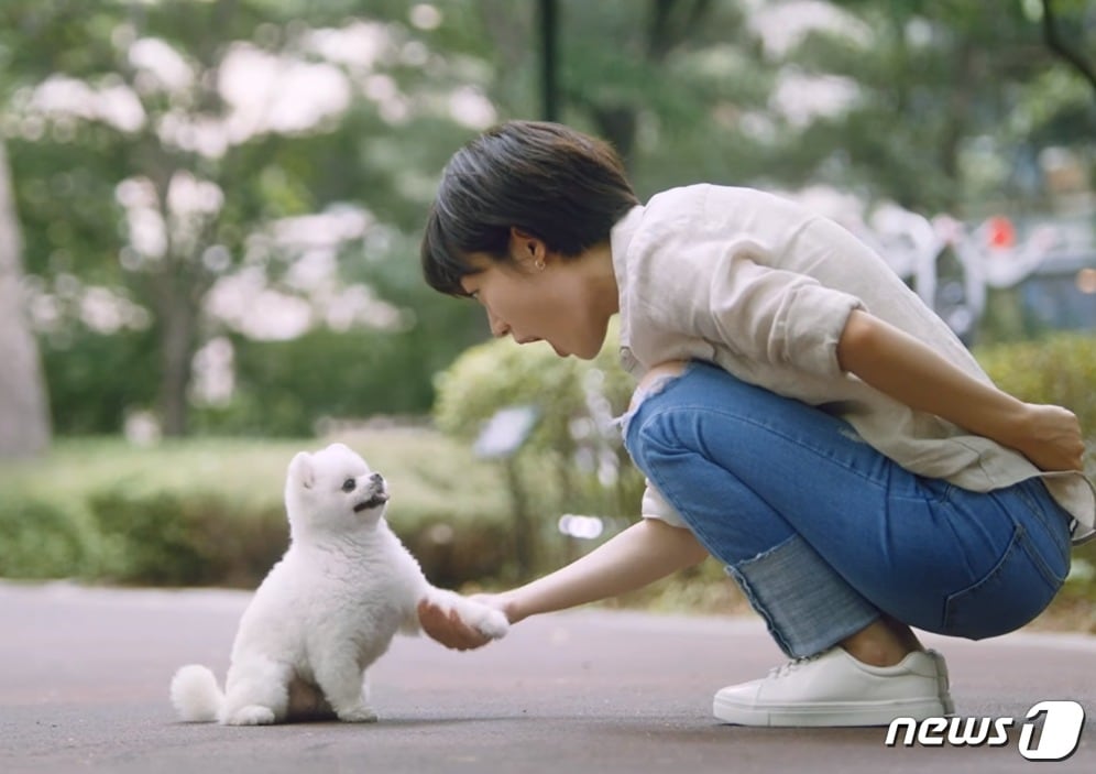 최근 '랜선 집사'들이 늘고 있다.(사진 LG유플러스 '자장가의 비밀' 영상 캡처)ⓒ News1