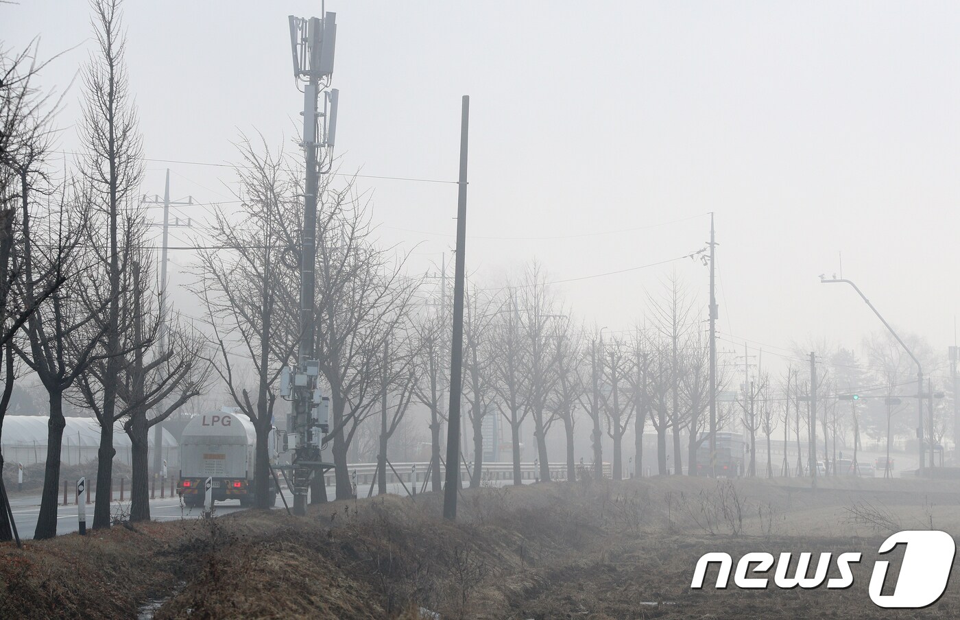 16일 전북은 새벽부터 오전 사이 곳곳에 짙은 안개가 낀다./뉴스1