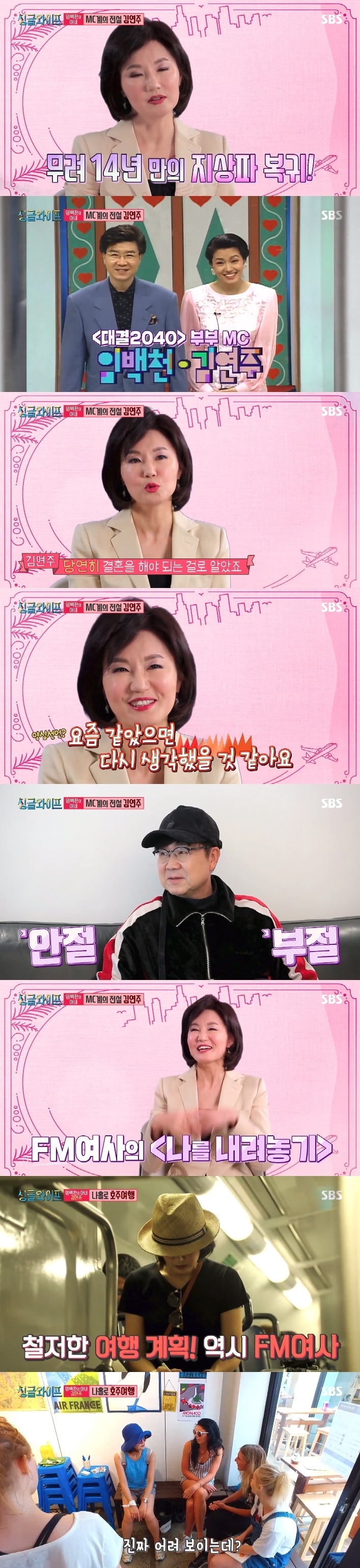 SBS 싱글와이프 ⓒ News1