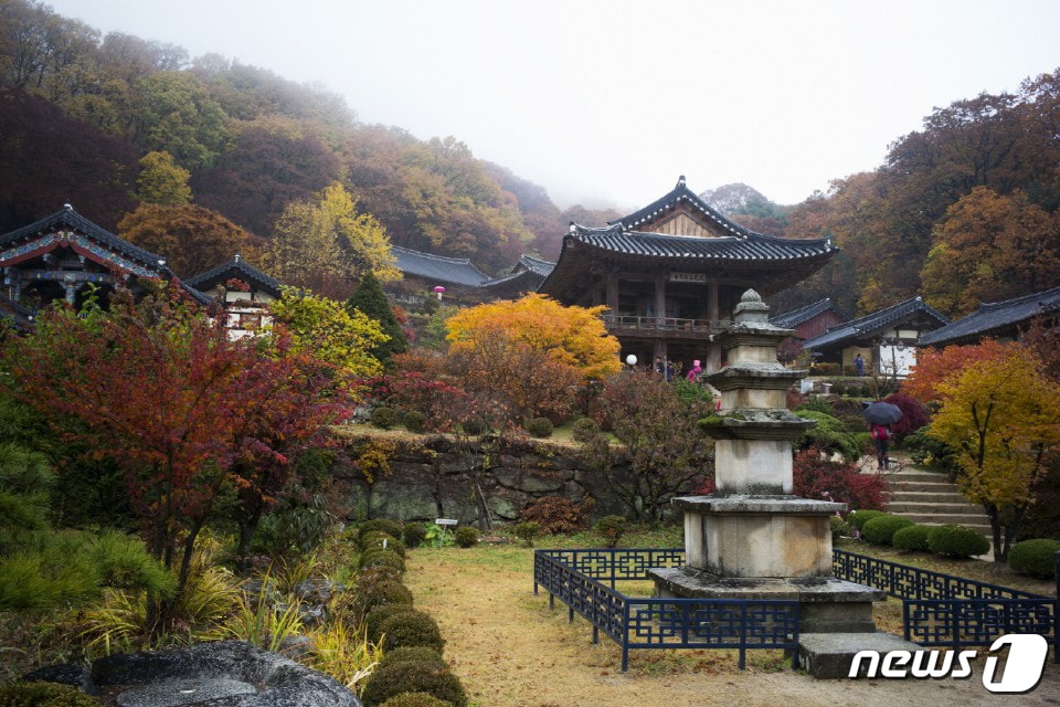 경북 영주시 부석사 주변이 울긋 불긋 단풍 옷으로 갈아입고 있다.2018.10.21/뉴스1 ⓒ News1 피재윤 기자