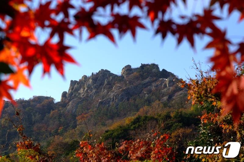 가을의 유달산ⓒ News1