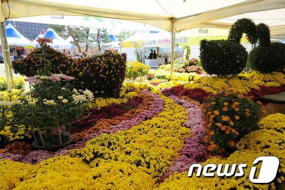 2017년 '대한민국 산림문화 박람회' 모습 ⓒ News1