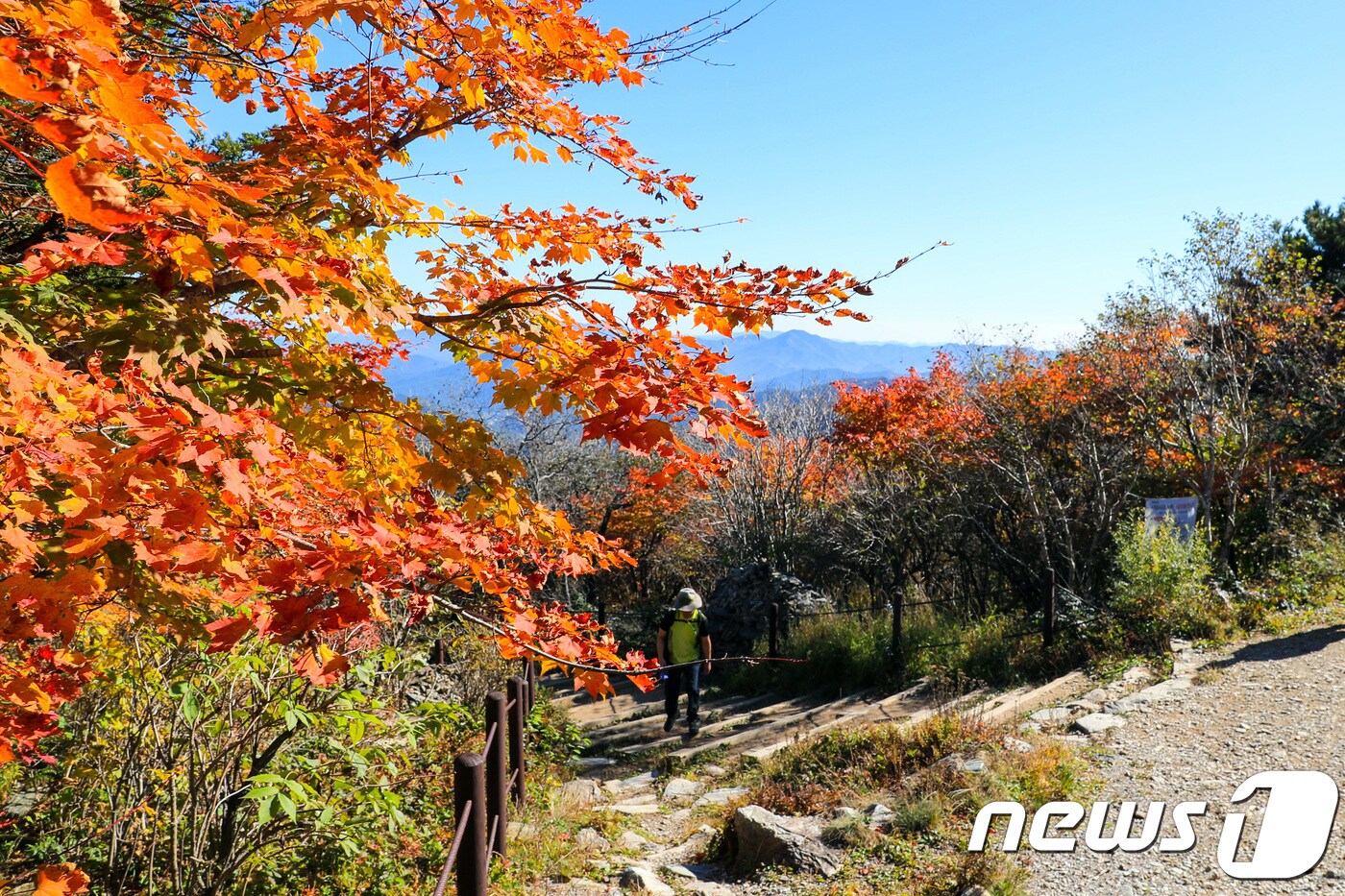 4일 강원 태백산 일대에 붉은 단풍 빛이 감돌고 있다. 2018.10.4/뉴스1 ⓒ News1 박하림 기자