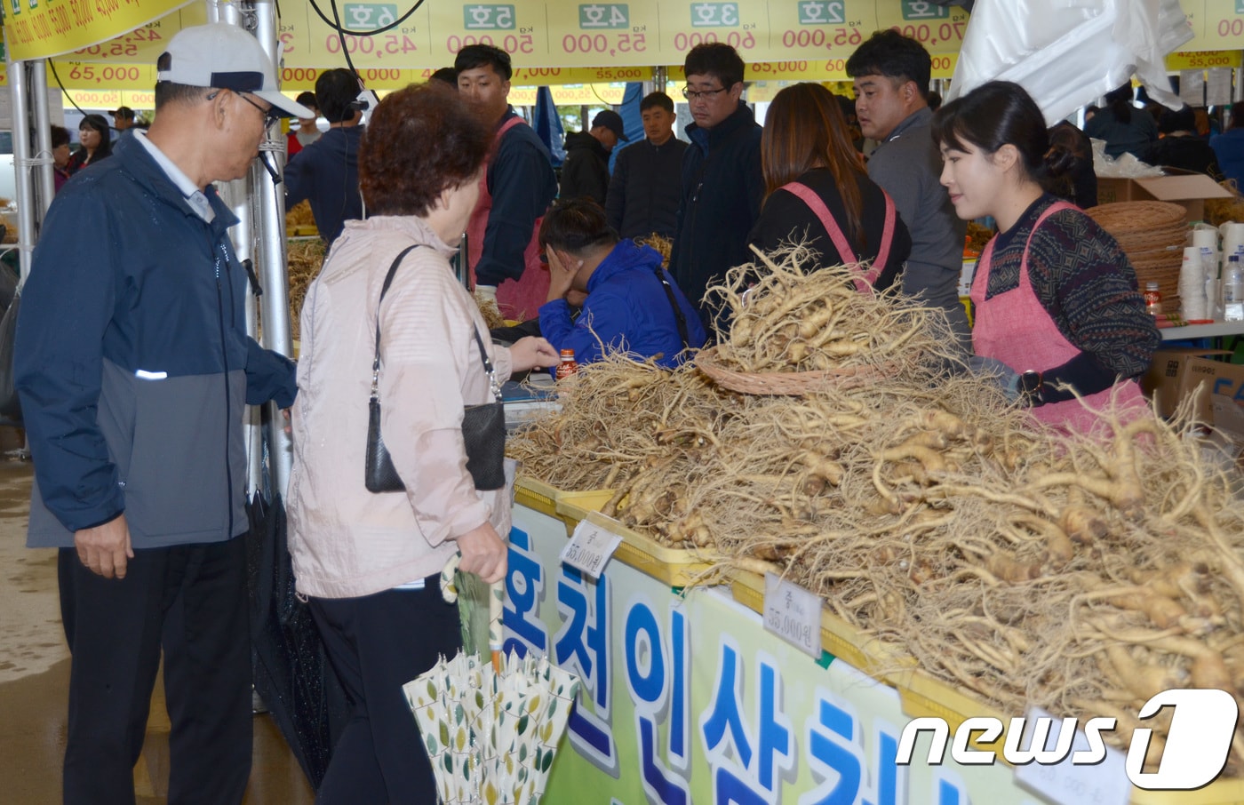 홍천 인삼·한우 명품축제에서 방문객들이 인삼 판매장을 둘러보고 있다. &#40;자료사진&#41;ⓒ News1 DB