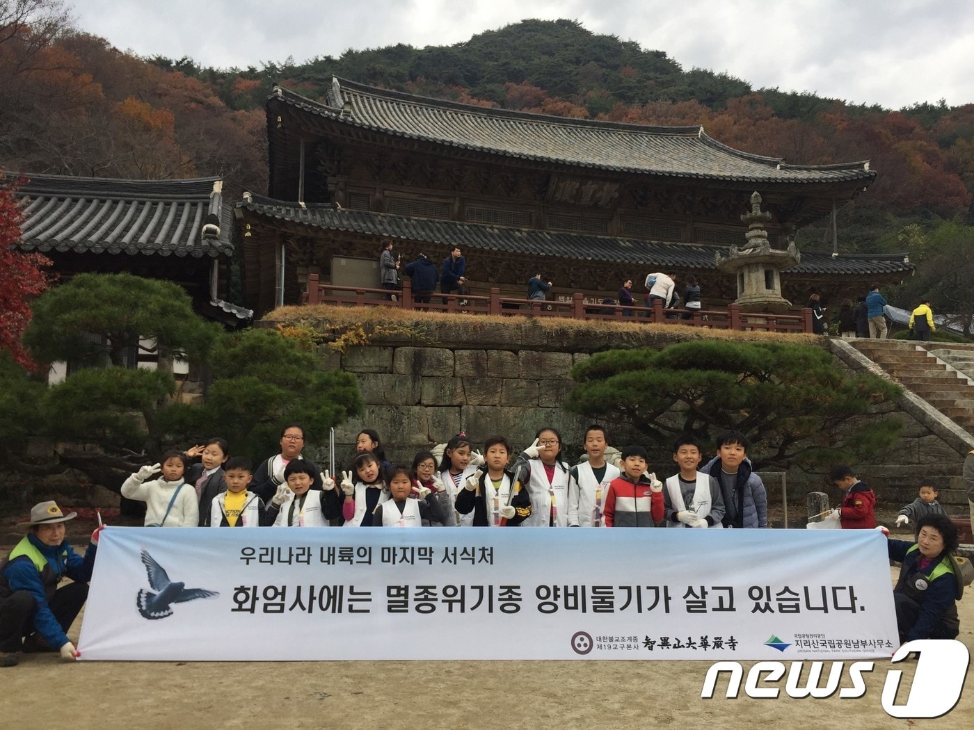 양비둘기 보전활동.&#40;지리산남부사무소 제공&#41;/뉴스1 ⓒ News1