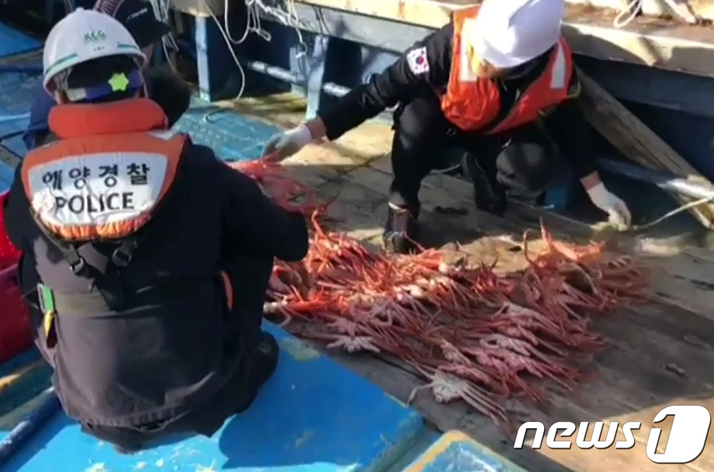 단속중인 해양경찰 ⓒ News1DB