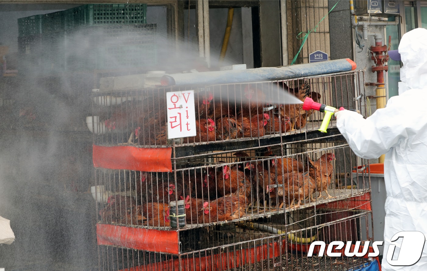 /뉴스1 DB ⓒ News1 문요한 기자
