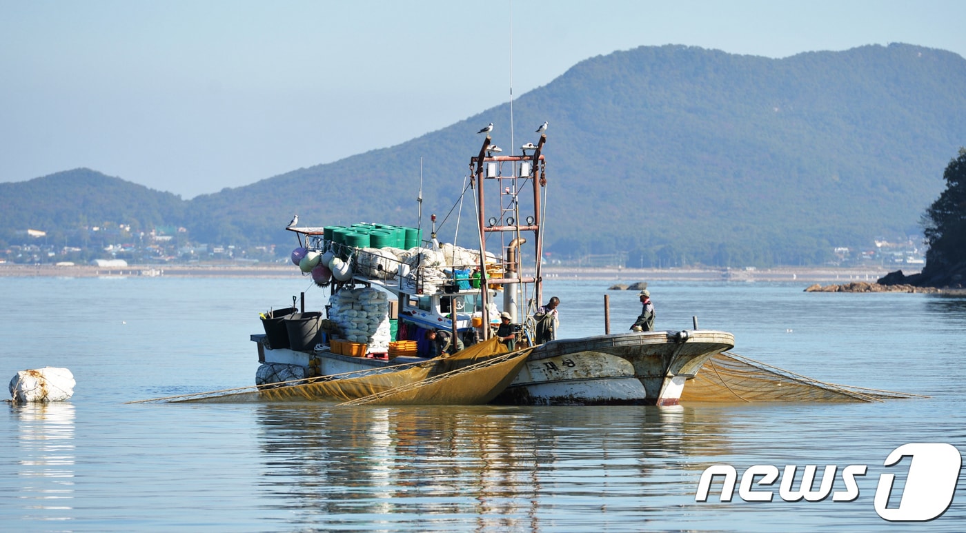 새우잡이 어선(뉴스1 DB)