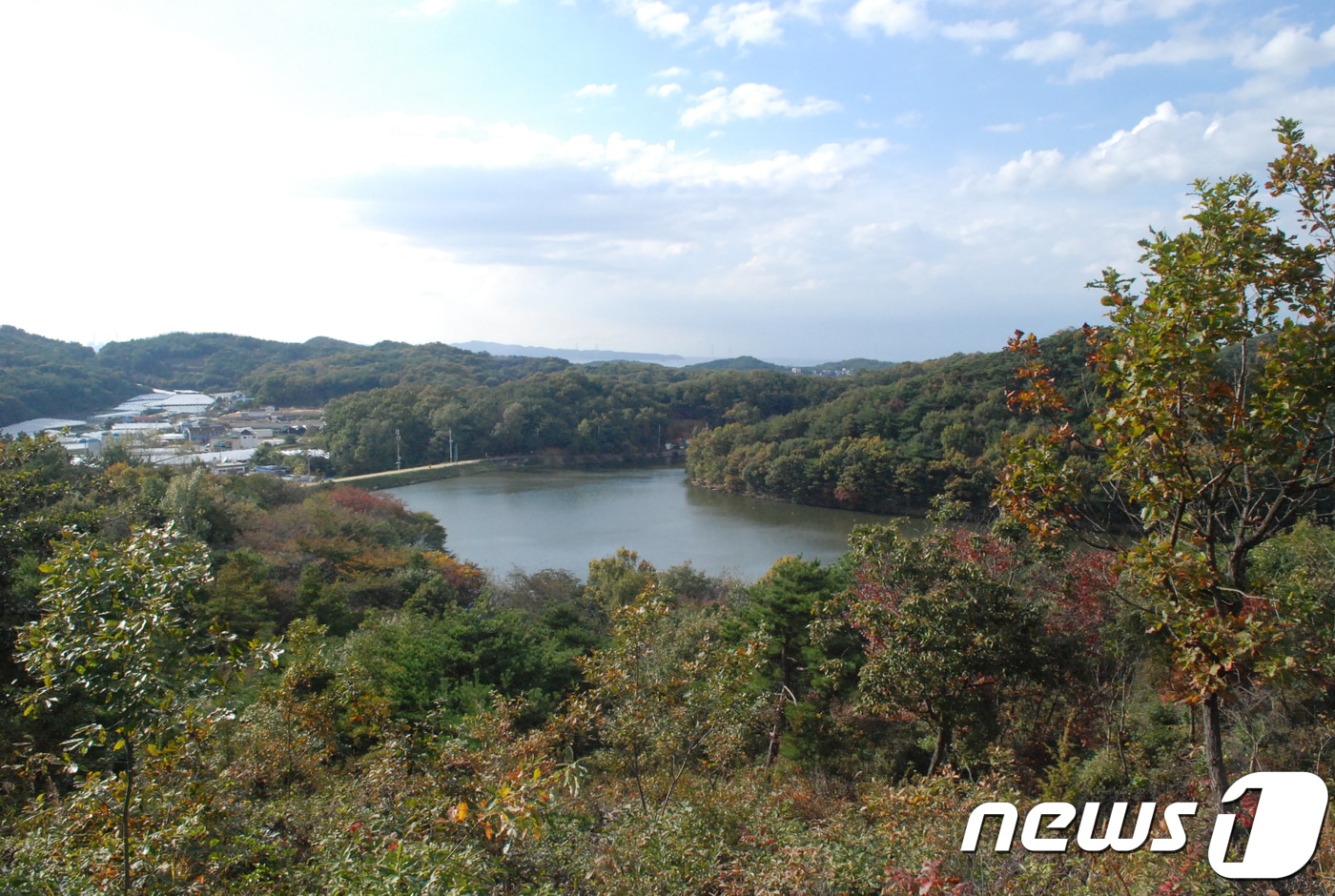 '북부산림청 조망점(Vista Point) 10곳' 중 경기도 안산시 단원구 대부북동에 위치한 대부도뻐국산도시숲(북부산림청 제공) ⓒ News1 노정은 기자
