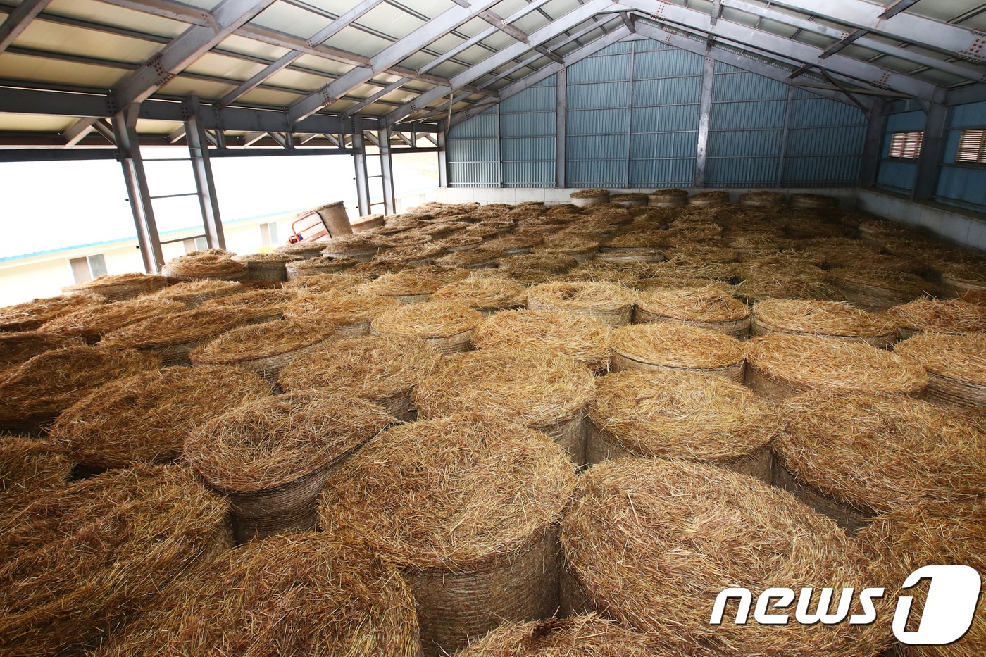 부안군이 축산농가의 부담 경감을 위해 2024년 상반기 사료 구매 자금 융자 지원 신청을 받는다, 한우용 건초(뉴스1/DB)