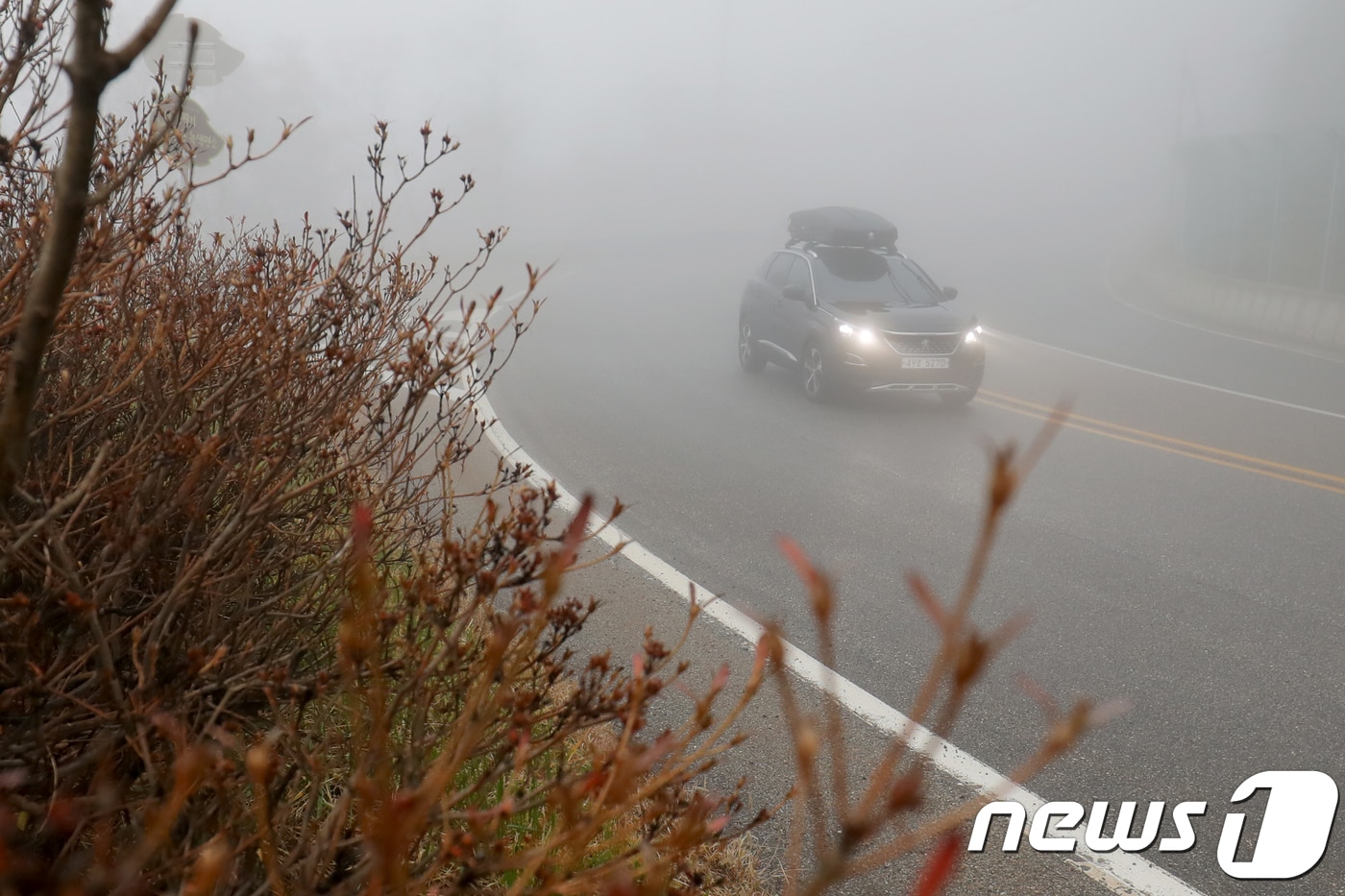 24일 전북은 새벽부터 아침사이 짙은 안개가 낀다./뉴스1