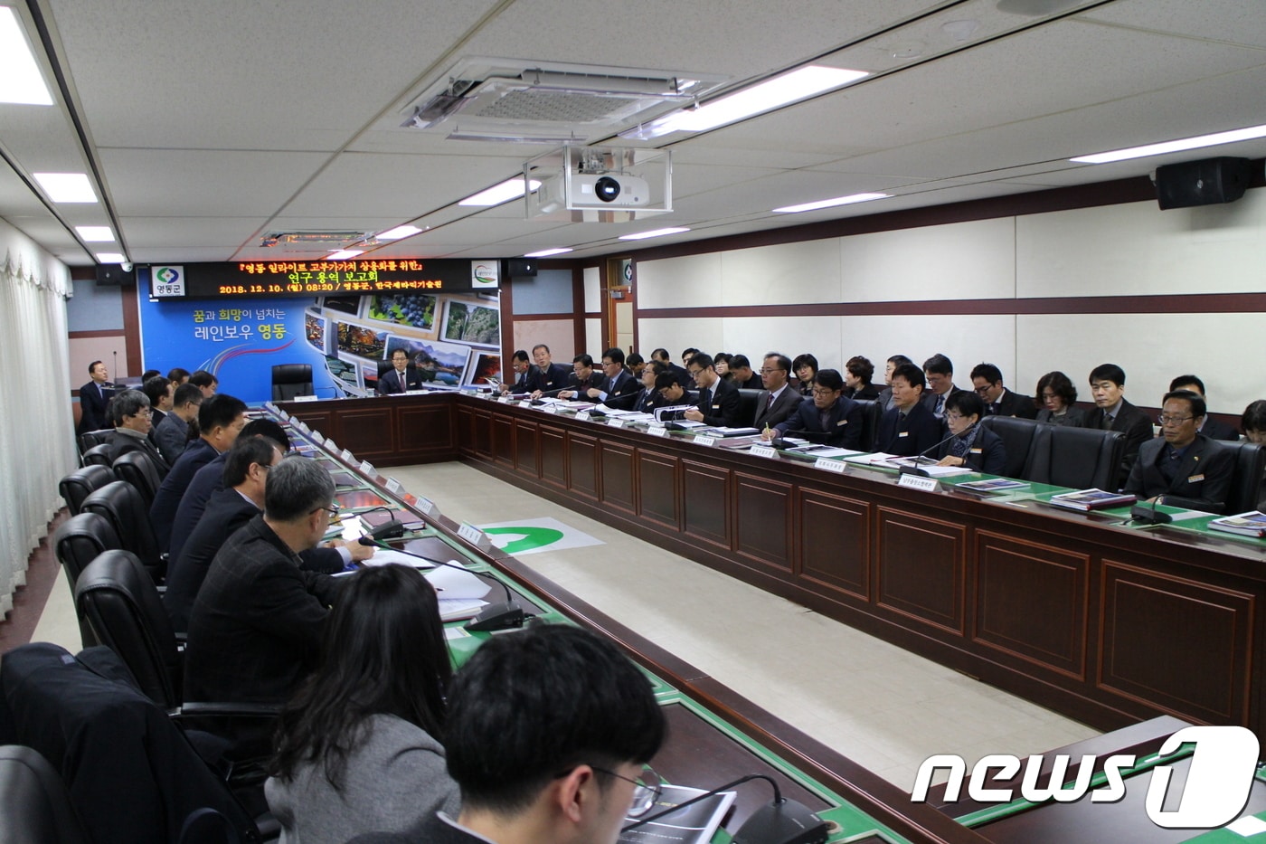 지난 10일 충북 영동군청 상황실에서 일라이트 상용화를 위한 실증연구 용역 보고회가 열리고 있다.(영동군 제공).2018.12.11ⓒ News1