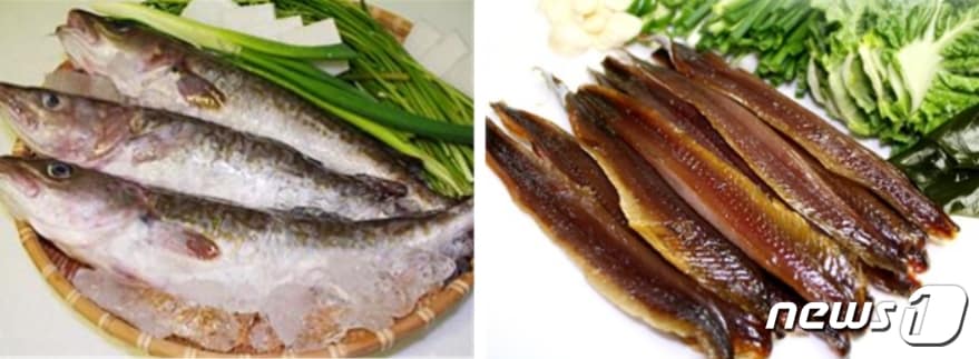 대구(왼쪽)와 과메기/사진=해양수산부ⓒ News1