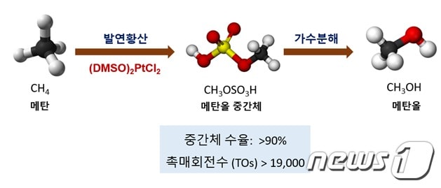 백금계 유기금속 촉매를 이용한 메탄 산화 반응(한국연구재단 제공)ⓒ News1