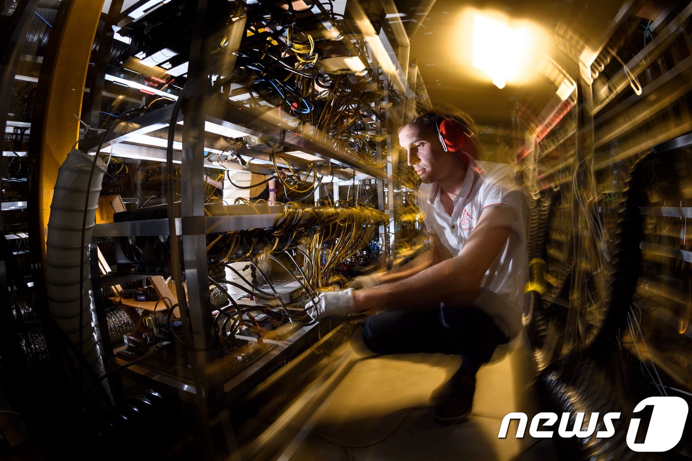 블록체인의 희망과 배신 - 뉴스1