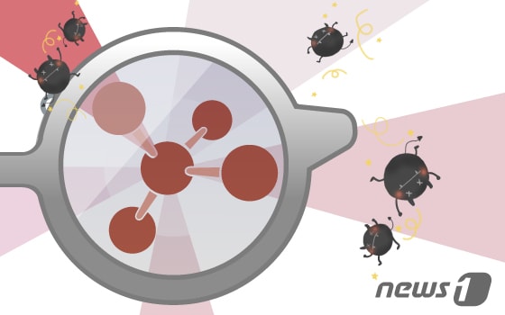 ⓒ News1 DB