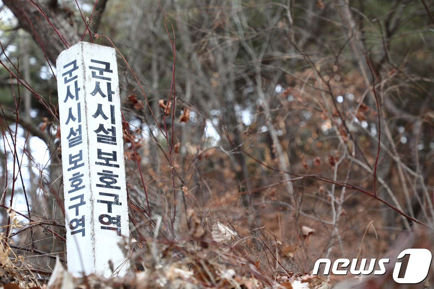 강원 화천군의 한 야산에 &#39;군사시설보호구역&#39; 말뚝이 박혀져 있다. &#40;자료사진&#41;ⓒ News1 DB