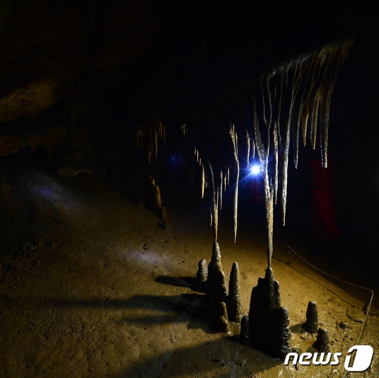 강원 평창군 백룡동굴 자료사진. ⓒ News1 