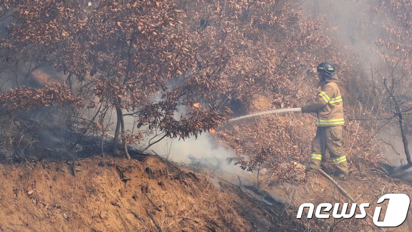 119 소방대원들이 진화작전을 펼치고 있다.(뉴스1/DB) ⓒ News1