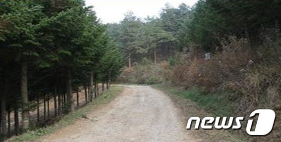 산림청 정읍국유림관리소(소장 하헌경)는 산림경영임지 확보를 위해 올해 36억원의 예산을 들여 전북지역 9개 시군의 사유림 460㏊를 매수한다. ⓒ News1