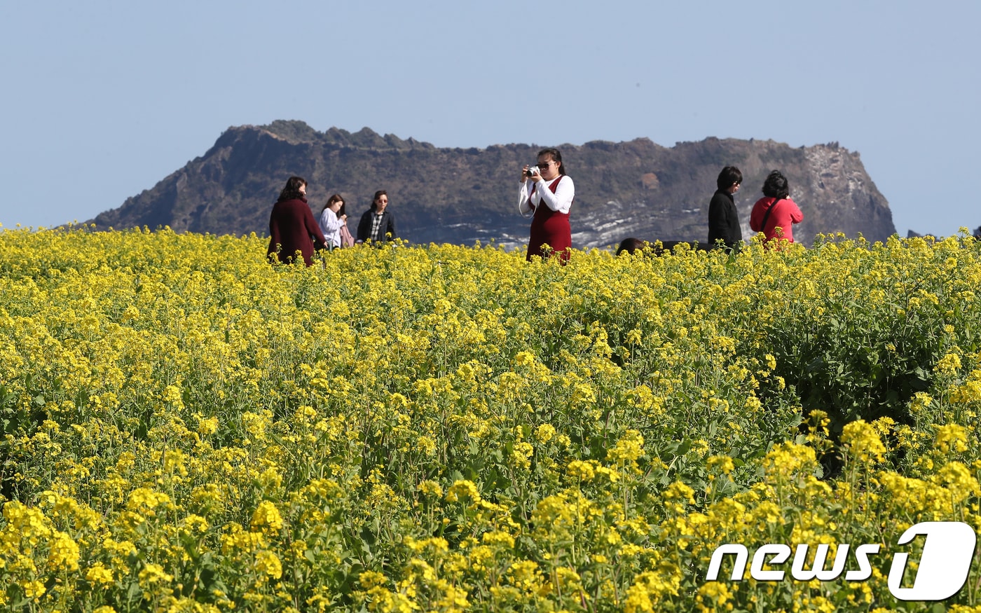  ⓒ News1 이석형 기자