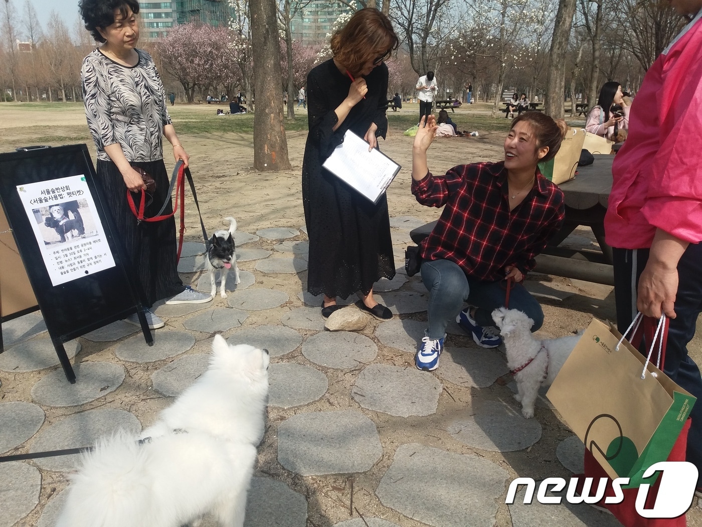 산책하는 개 예쁘다고 손 내밀면 물려요