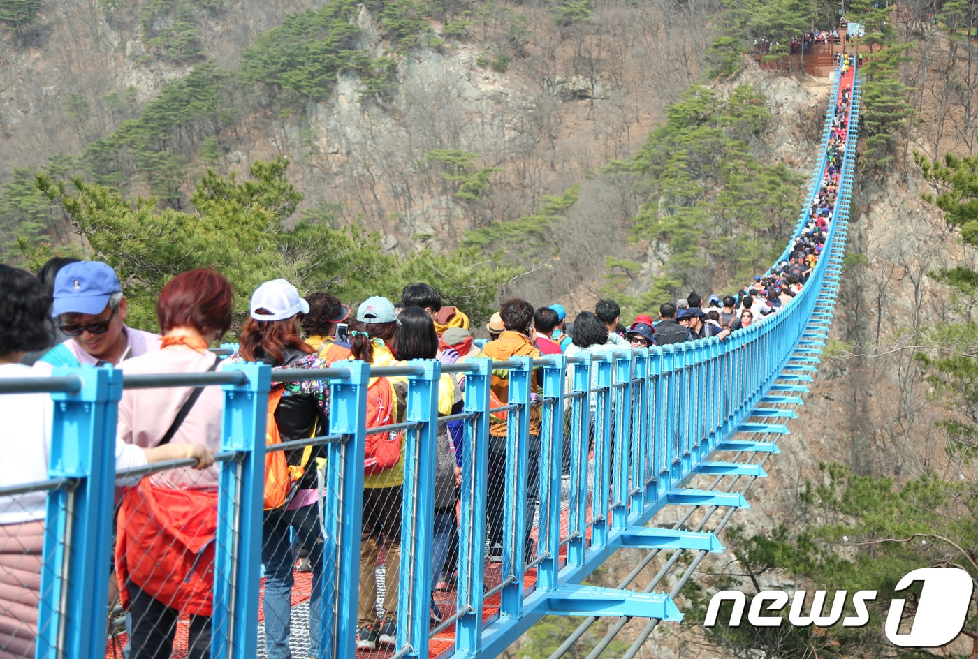 강원도 원주 소금산 출렁다리를 찾은 상춘객들 ⓒ News1